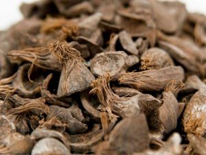 Palm Kernel Shell from Indonesia