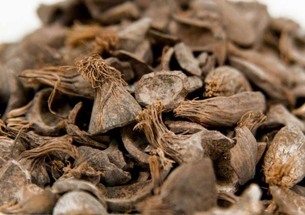 Palm Kernel Shell from Indonesia