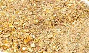 Cattle Feed