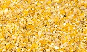 Quail Food